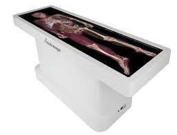 Virtual Dissection Table Software